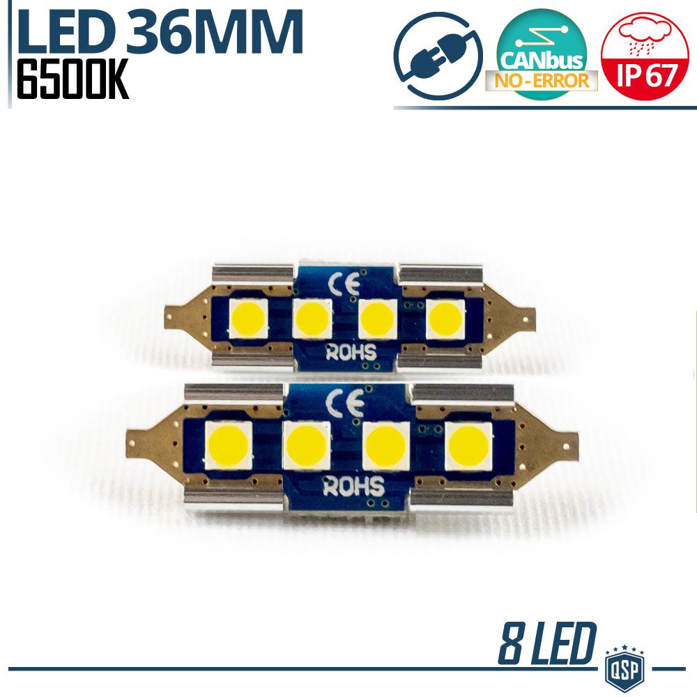 2X Soffitte LED Birnen 36mm C5W | 6500K Weißes Eis Canbus KEIN FEHLER Plug  & Play