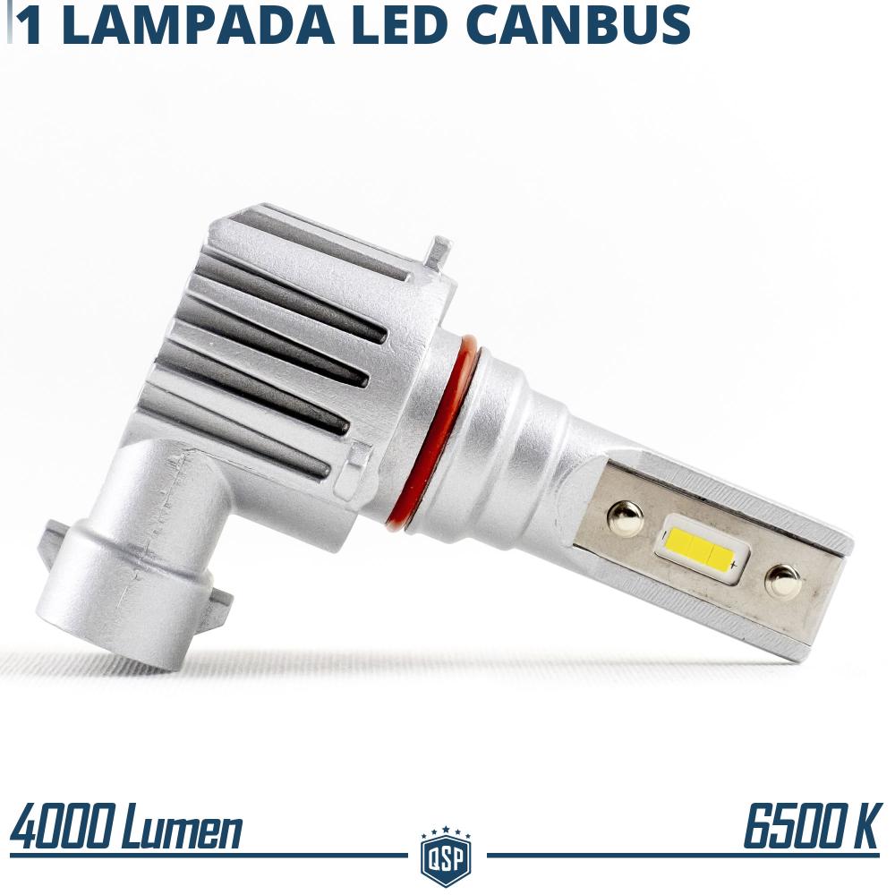 1 Ampoule LED H11, Blanc Pur 6.500K Puissant 4000LM