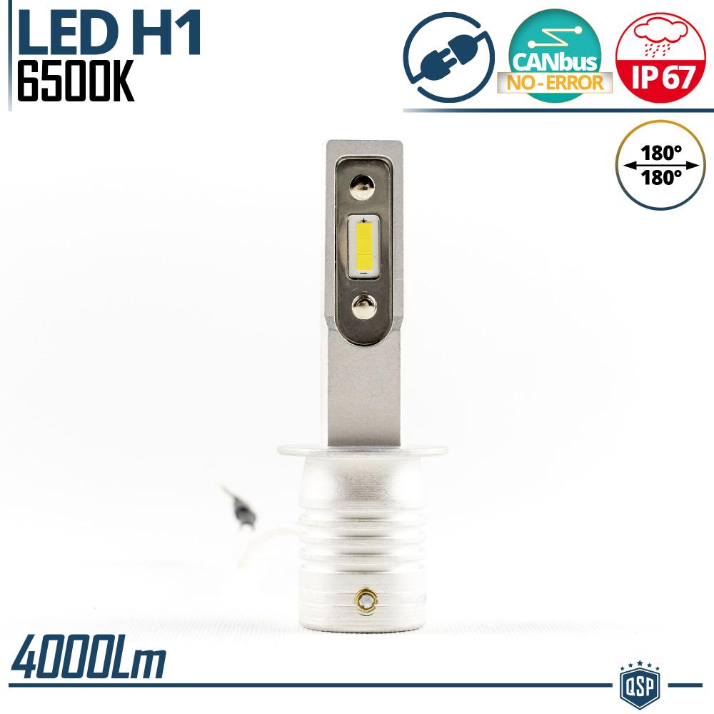 1 Ampoule LED H1 CANbus 4000LM
