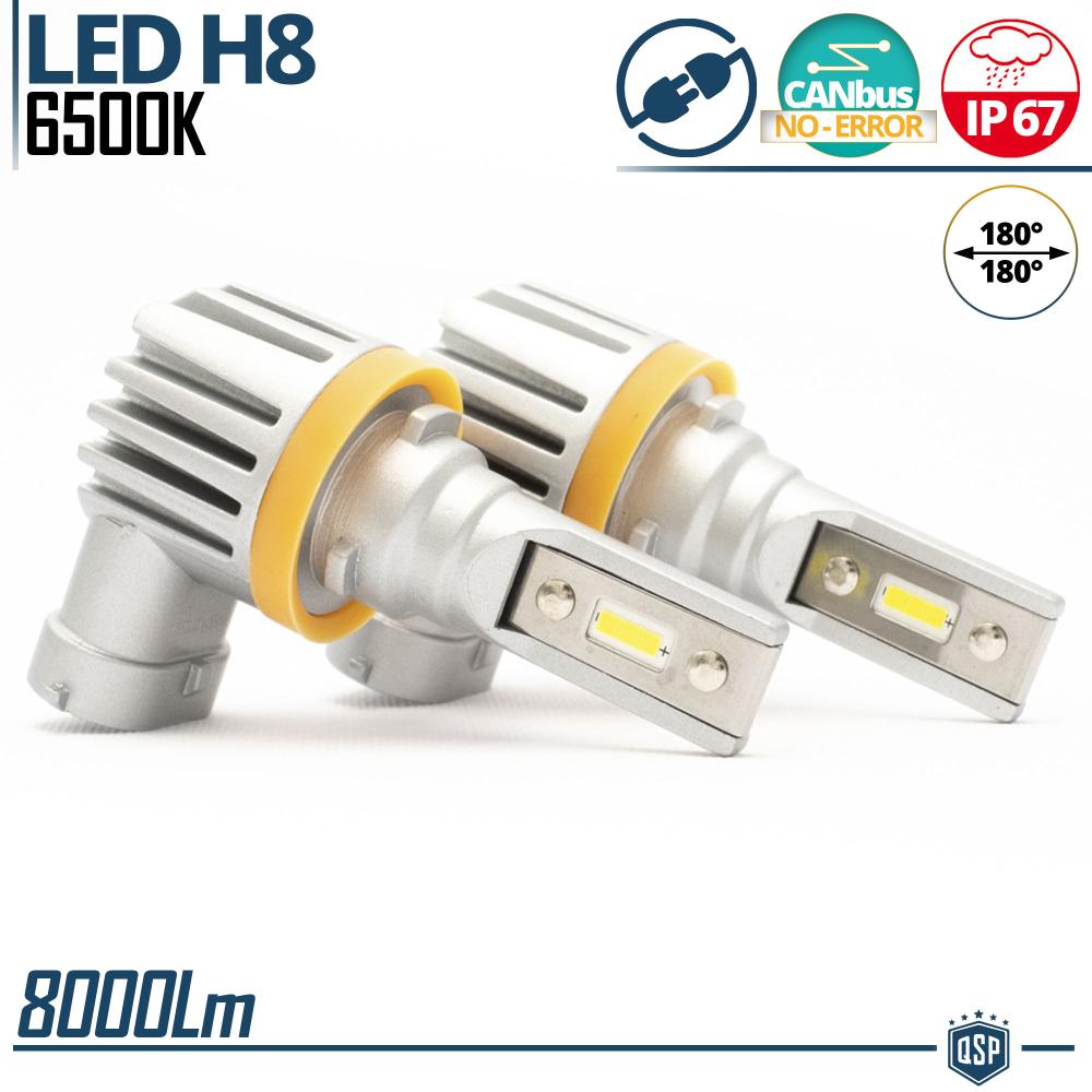 LED H8 Kit Fog Lights | Powerful White Ice 6500K 8000LM | CANbus Error  FREE, Plug & Play