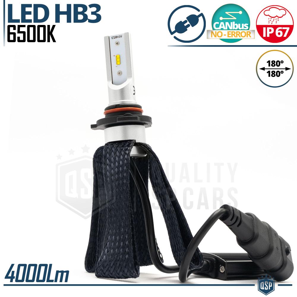 1 Ampoule LED HB3 CANbus Plug & Play, NEW ÉCROU RÉGLABLE, Conversion de  Halogène HB3 à LED