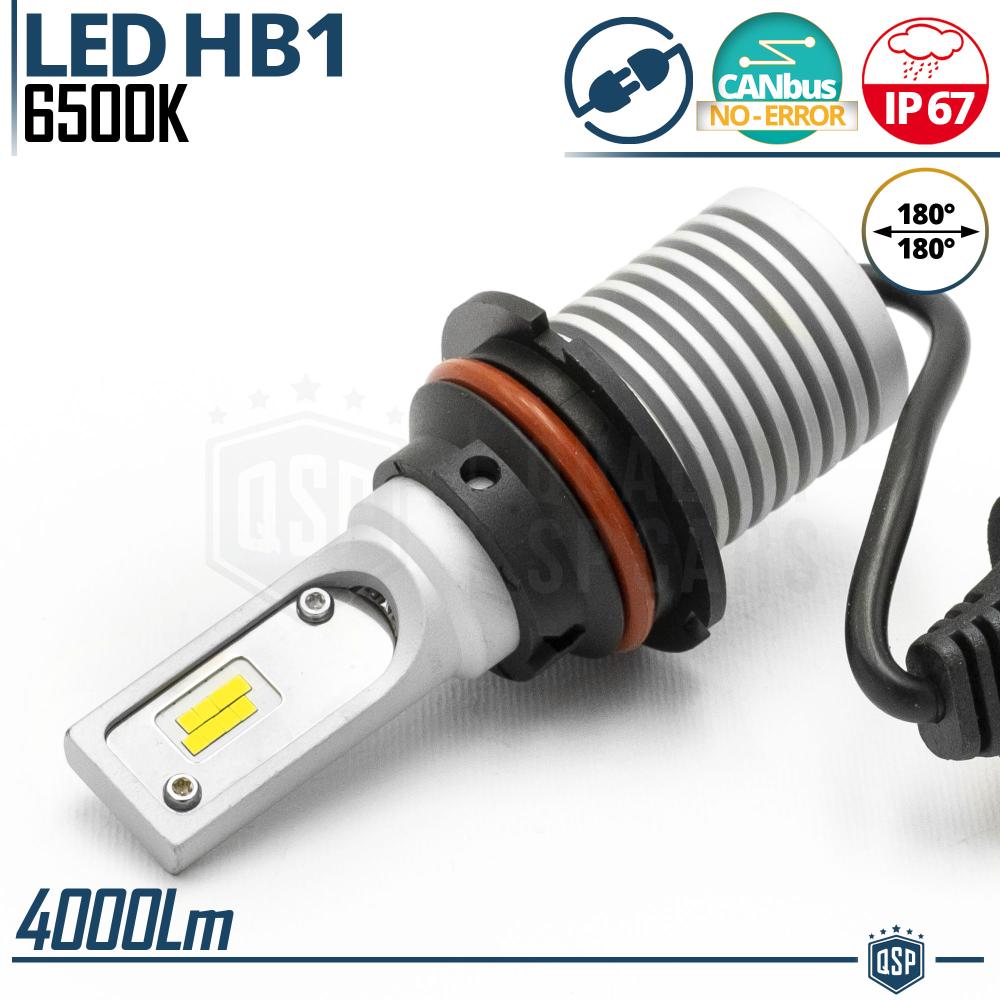 1 Ampoule LED HB1 | Blanc Pur 6.500K Puissant 4000LM | CANbus Anti Erreur,  Plug & Play