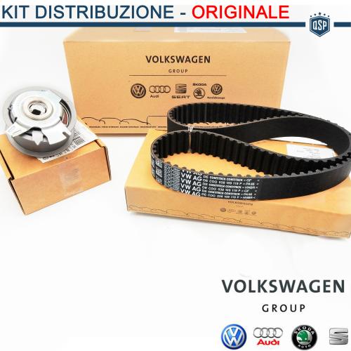 Kit Distribuzione ORIGINALE Volkswagen Audi Seat Skoda, Ricambio Originale 06B198119A