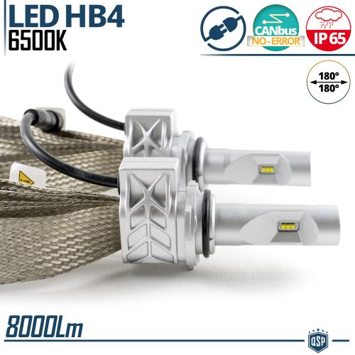 Kit Full LED HB4 CANbus Professionale | Conversione da Alogena HB4 a LED | 6500K Luce Bianca 8000LM 