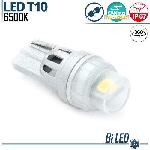 1 Lampadina LED T10 W5W CANbus | Luce Intensa Bianco Ghiaccio 6500K | Plug & Play