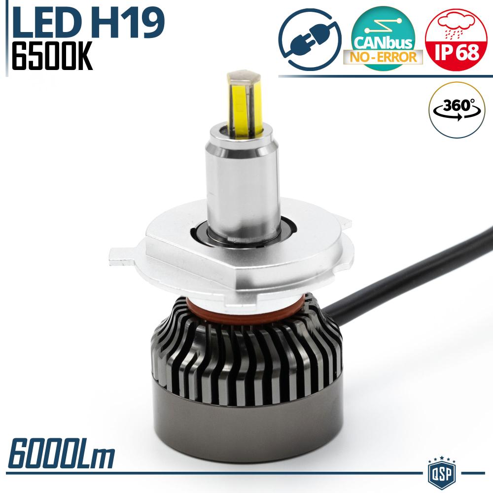 1 Ampoule LED H1 pour PHARE LENTICULAIRE | Lumière Puissante à 360° 6000  Lumens | Conversion de HALOGÈNE H1 à LED | CANbus, Plug & Play