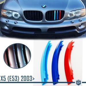 3x Grille COVER STRIPES for BMW X5 (E53) 2003-2006 FACELIFT in Colors M Sport