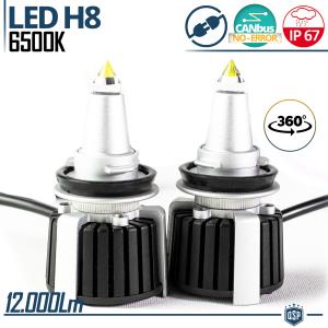 Quartz H8 LED Bulbs Kit 360° CANBUS | Powerful White Light 6500K 55W