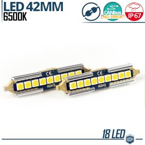 2x Lampadine LED SILURO 42 mm C5W | 9 LED 6500K Bianco Canbus NO ERROR Plug & Play