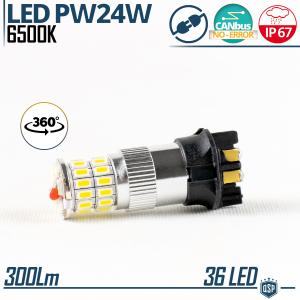 1 Lampadina LED PW24W Canbus | Luce Bianco Ghiaccio 360° 6500K | Plug & Play