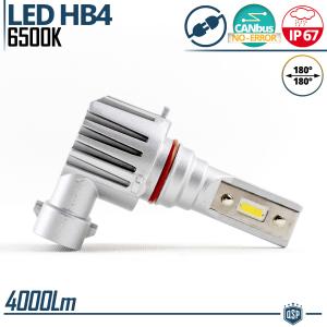 1x Lampada Full LED HB4 | Luce Potente Bianco Ghiaccio 6500K 4000LM | Canbus No Error, Plug & Play