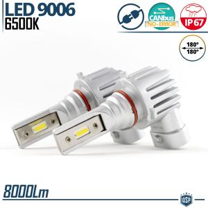 Kit LED 9006 Luces de Niebla | Blanco Frío 6500K Potente 8000LM | CANbus Sin Error, Plug & Play