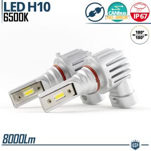 Kit Full LED H10 per Fendinebbia | Luce Potente Bianco Ghiaccio 6500K 8000LM | Canbus No Error, Plug & Play