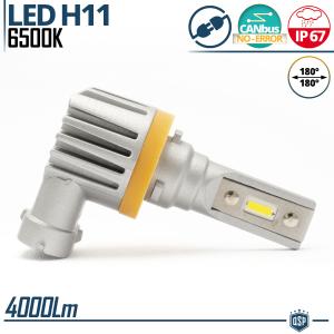 1x Lampada Full LED H11 | Luce Potente Bianco Ghiaccio 6500K 4000LM | Canbus No Error, Plug & Play