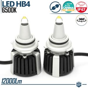 Quartz HB4 LED Bulbs Kit 360° CANBUS | Powerful White Light 6500K 55W