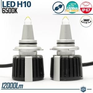 Kit LED H10 al Quarzo 360° CANbus | Lampadine LED Auto Luci Bianche Potenti 6500K 55W
