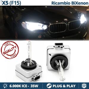 Coppia Lampadine di Ricambio Bi-Xenon D1S per BMW X5 F15/85 Luci Bianco Ghiaccio 6000K 35W