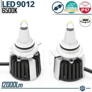 Kit LED 9012 al Quarzo 360° CANbus | Lampadine LED Auto Luci Bianche Potenti 6500K 55W
