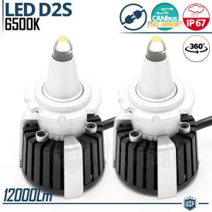 Kit LED D2S | Conversione da Xenon HID a LED Plug & Play | CANbus, Luce Bianca Potente | 12000LM