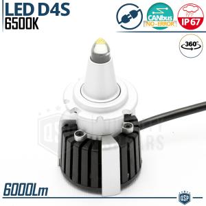 1 Lampada LED D4S | Conversione da Xenon HID a LED Plug & Play | CANbus, Luce Bianca Potente 55W