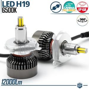 Kit Full LED H19 CANbus | Luce Bianca Potente 12000 Lumen | Conversione da ALOGENA H19 in LED | Plug & Play