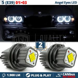 LED ANGEL EYES For BMW 5 SERIES E39 from 2001 to 2003 | White Parking Lights 80W CANbus ERROR FREE 
