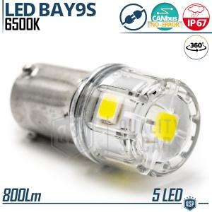 1 Lampadina LED BAY9S H21W Canbus | Luce 360° Bianco Ghiaccio 6500K | Plug & Play