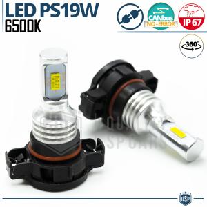 2pcs LED PS19W LED Bulbs CANbus | DRL - Fog Lights | ICE White Light 6500K | Plug & Play