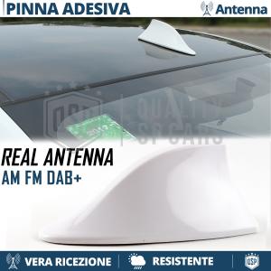 Antenna PINNA DI SQUALO Bianca PER CITROEN SPACETOURER, BERLINGO | Ricezione AM-FM-DAB+