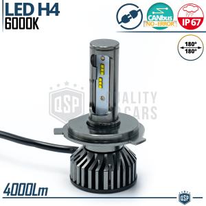 1 Ampoule LED H4 CANbus 4000LM | Lumière Blanche 6000K | Conversion Professionnel de Halogène H4 à LED