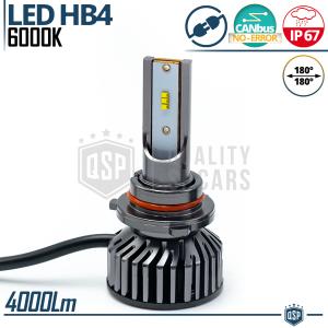 1 Lampadina LED HB4 CANbus 4000LM | 6000K Luce Bianca | Conversione da Alogena HB4 a LED Professional