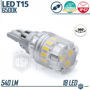 1 Lampadina LED T15 W16W CANbus | Luce Intensa 360° Bianco GHIACCIO 6500K | Plug & Play